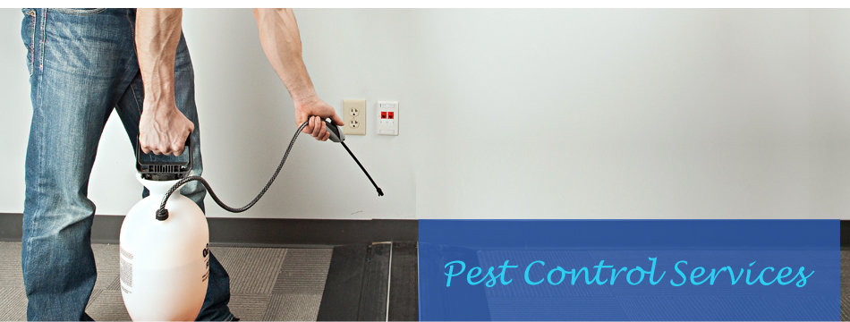 extermination-canon-city-co-t-j-pest-control-hero2